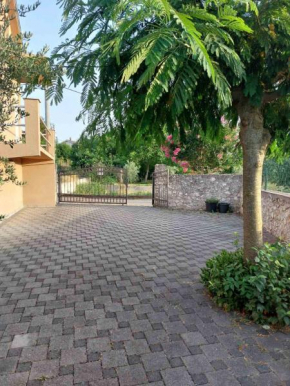 Apartmani Neda